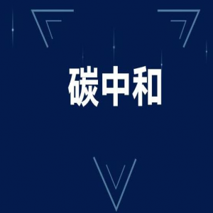 碳中和實踐中的風(fēng)機(jī)并網(wǎng)逆變器的應(yīng)用